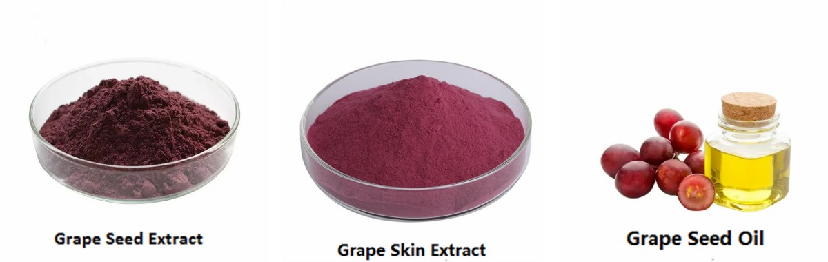 Grape Seed Extract factory