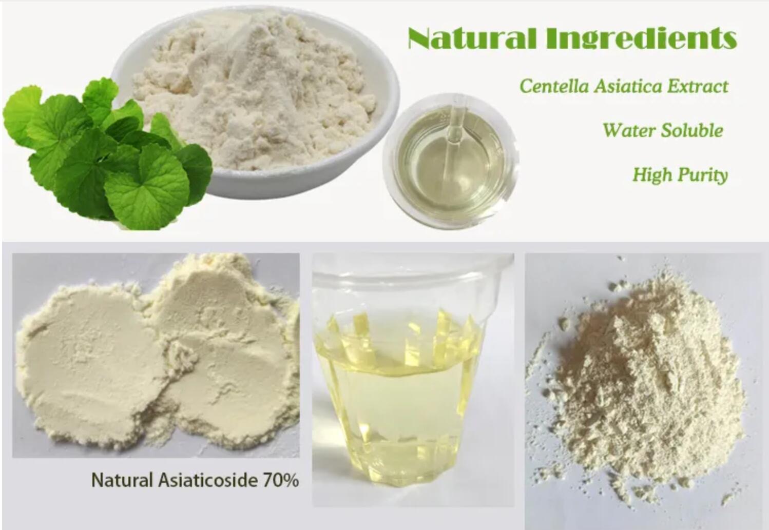 Centella Asiatica Extract factory