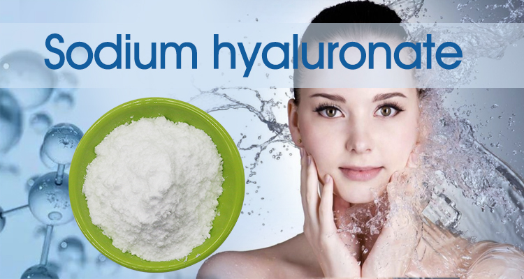 Sodium Hyaluronate factory