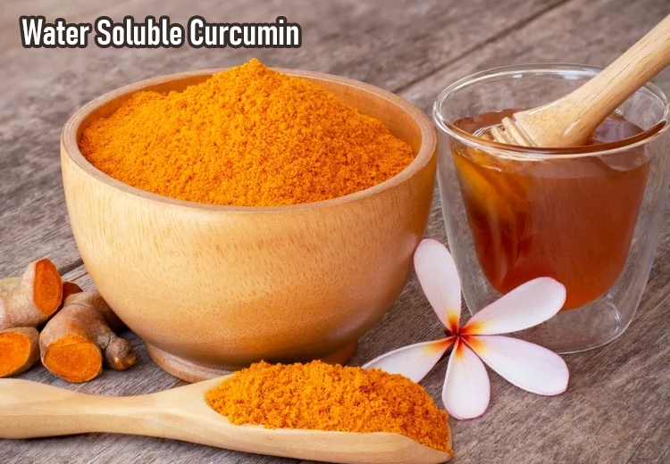 Curcumin factory