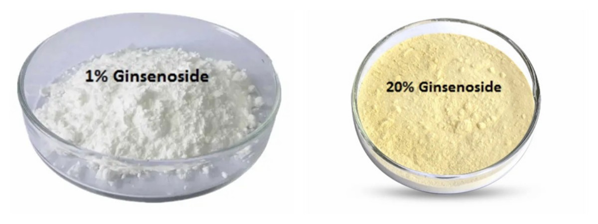 Ginseng Extract